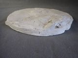 a piece of bread that is sitting on a table
