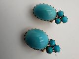 a pair of turquoise earrings on a white surface