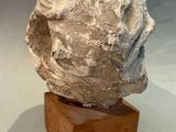 an image of a sculpture of a head on a wooden stand