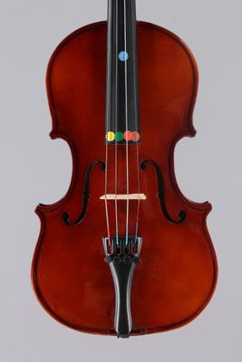 a close up of a violin on a white background