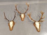 three deer heads mounted on a wall with antlers on them