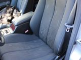 a cat sitting in the back seat of a car