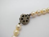 une photo d'un collier de perles orné d'un pendentif en forme de croix