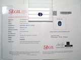 deux feuilles sur lesquelles figure l'image d'un diamant bleu