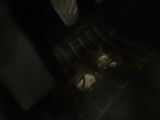 a dog that is laying down in the oven