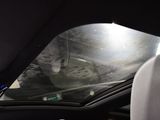 a cat that is sitting in the back seat of a car