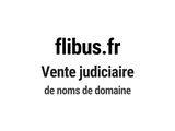 Photo 1/1 du lot