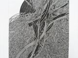 une image représentant une photo en noir et blanc d'une plante