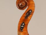 a close up of the back of a violin with a scroll