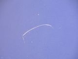 a plane that is flying in the sky with it ' s tail
