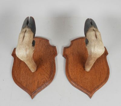 pair of hand carved dog heads mounted on wooden plaques