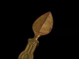 a gold spoon with a leaf on it on a black background