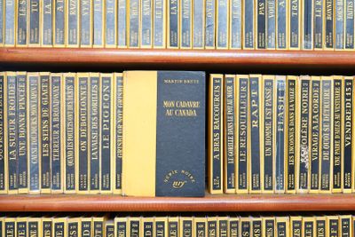 les nombreux livres qui se trouvent sur les étagères de la bibliothèque