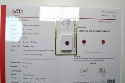 une photo d'un certificat sur lequel figure un losange rouge