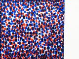 an image of a red, white, and blue scarf hanging on a wall