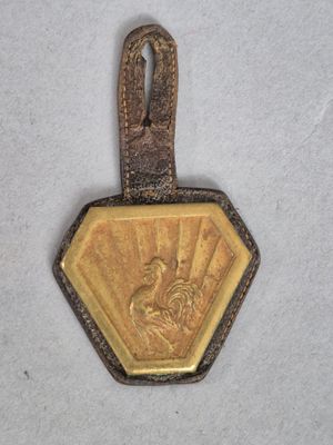 une image représentant une médaille d'or sur laquelle figure le portrait d'une femme