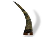 an image of a large horn with a wooden base on a white background