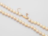 a single strand of pearl beads with a gold clasp