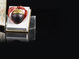 a small box with a black object inside of it