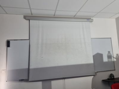 Ecran de projection PROCOLOR + vidéoprojecteur DLP. On joint le tablea - Photo 1