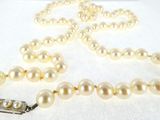 pearl necklace with silver clasp and clasp on a white background