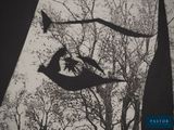a black and white photo of a tree with a bird on it