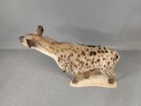 an image of a stuffed hyena standing on top of a rug