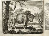 an old book with a picture of a cow in it