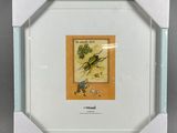une photo d'une photo d'un oiseau dans un cadre photo
