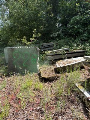many benches that are sitting in the grass