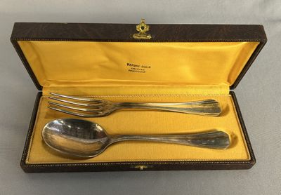an image of a set of silverware in a box