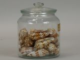 a glass jar with shells in it on a white surface