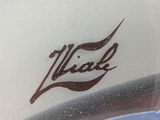 a close up of a logo on the side of a car