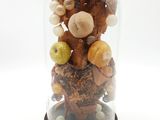 une cloche en verre remplie de différentes sortes de fruits à coque