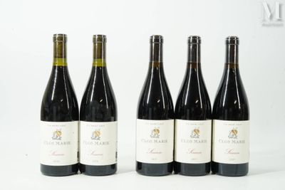 six bouteilles de vin sont alignées sur une surface blanche