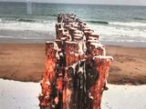 a picture of a piece of wood on the beach