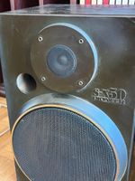 PIONEER (photo 2)