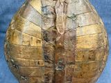 Photo 6/9 du lot