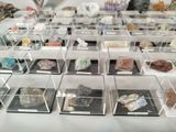 many different kinds of rocks in a display case