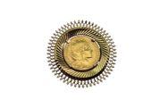 an image of a gold coin in the center of a sunburst