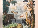 une image représentant un livre contenant des illustrations d'animaux