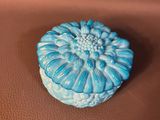 a small blue flower sitting on top of a brown surface