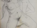 Photo 9/11 du lot