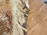 a piece of bread that is sitting on a cutting board