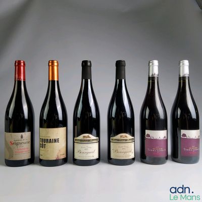 plusieurs bouteilles de vin sont alignées sur une table