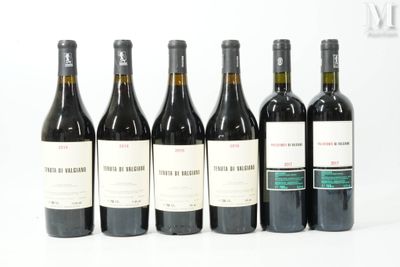 six bouteilles de vin sont alignées sur une surface blanche