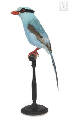 a bird that is sitting on top of a pole