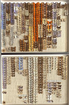 a picture of a refrigerator with a lot of buttons on it