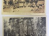 two old black and white photos of people and animals in a park