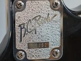the back of an electric guitar with a plaque on the neck